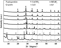 Graphical abstract: Preparation of a palygorskite supported KF/CaO catalyst and its application for biodiesel production via transesterification
