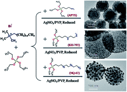 Graphical abstract: Surface functionality density regulated in situ reduction of nanosilver on hierarchial wrinkled mesoporous silica nanoparticles and their antibacterial activity