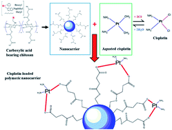 Graphical abstract: Chitosan-based self-assembled nanocarriers coordinated to cisplatin for cancer treatment