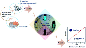 Graphical abstract: Multicolor carbon nanodots from food waste and their heavy metal ion detection application