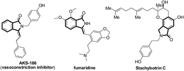 Graphical abstract: Nickel(ii)-catalyzed tandem C(sp2)–H bond activation and annulation of arenes with gem-dibromoalkenes