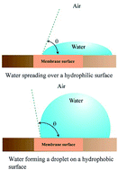 Graphical abstract: Recent advances in hydrophilic modification and performance of polyethersulfone (PES) membrane via additive blending