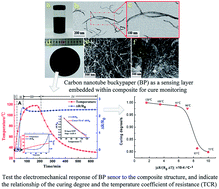 Graphical abstract: Real time monitoring of the curing degree and the manufacturing process of fiber reinforced composites with a carbon nanotube buckypaper sensor