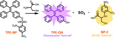 Graphical abstract: A fluorescence and UV/vis absorption dual-signaling probe with aggregation-induced emission characteristics for specific detection of cysteine