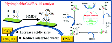 Graphical abstract: Synthesis of dimethyl carbonate from CO2 and methanol over a hydrophobic Ce/SBA-15 catalyst