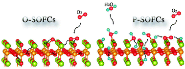 Graphical abstract: A first-principles study on divergent reactions of using a Sr3Fe2O7 cathode in both oxygen ion conducting and proton conducting solid oxide fuel cells