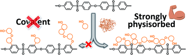 Graphical abstract: Elucidating the mechanism behind the laccase-mediated modification of poly(ethersulfone)