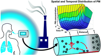 Graphical abstract: How critical is geometrical confinement? Analysis of spatially and temporally resolved particulate matter removal with an electrostatic precipitator