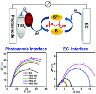 Graphical abstract: Origin of the effects of PEG additives in electrolytes on the performance of quantum dot sensitized solar cells