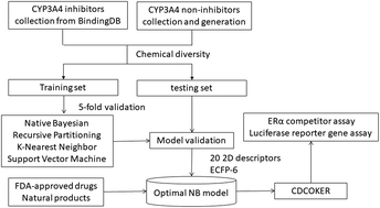 Graphical abstract: Screening of cytochrome P450 3A4 inhibitors via in silico and in vitro approaches
