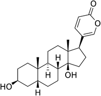 Graphical abstract: Bufalin suppresses colorectal cancer cell growth through promoting autophagy in vivo and in vitro