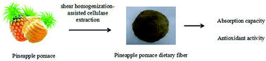Graphical abstract: Optimization extraction and functional properties of soluble dietary fiber from pineapple pomace obtained by shear homogenization-assisted extraction