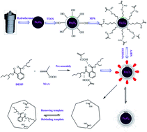 Graphical abstract: A convenient separation method for di(2-ethylhexyl)phthalate by novel superparamagnetic molecularly imprinted polymers
