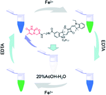 Graphical abstract: Specific colorimetric detection of Fe3+ ions in aqueous solution by squaraine-based chemosensor