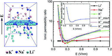 Graphical abstract: Ion transport through a nanoporous C2N membrane: the effect of electric field and layer number