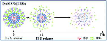 Graphical abstract: Dual-generation dendritic mesoporous silica nanoparticles for co-delivery and kinetically sequential drug release