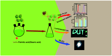 Graphical abstract: High binding ability ligand controlled formation of CsPbX3 (X = Cl/Br, Br, I) perovskite nanocrystals with high quantum yields and enhanced stability