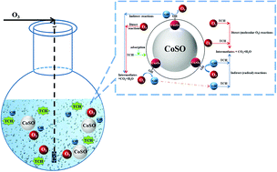 Graphical abstract: Study of catalytic ozonation for tetracycline hydrochloride degradation in water by silicate ore supported Co3O4