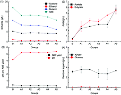 Graphical abstract: Effect of lignocellulose-derived weak acids on butanol production by Clostridium acetobutylicum under different pH adjustment conditions