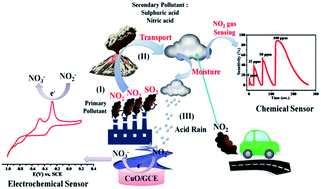 Graphical abstract: Facile synthesis of highly porous CuO nanoplates (NPs) for ultrasensitive and highly selective nitrogen dioxide/nitrite sensing