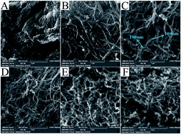 Graphical abstract: Facile synthesis of polypyrrole nanofiber (PPyNF)/NiOx composites by a microwave method and application in supercapacitors