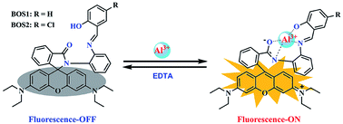 Graphical abstract: New rhodamine B-based chromo-fluorogenic probes for highly selective detection of aluminium(iii) ions and their application in living cell imaging