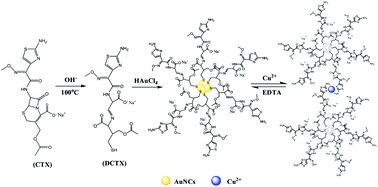 Graphical abstract: Fabrication of cefotaxime sodium-functionalized gold nanoclusters for the detection of copper ions in Chinese herbal medicines