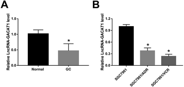 Graphical abstract: Retracted Article: Long non-coding RNA GACAT1 alleviates doxorubicin and vincristine resistance through a PTEN/AKT/mTOR/S6K1 regulatory pathway in gastric cancer