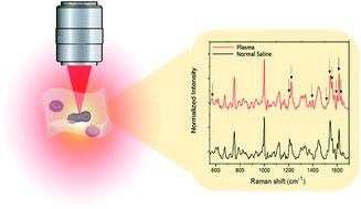 Graphical abstract: Normal saline-induced deoxygenation of red blood cells probed by optical tweezers combined with the micro-Raman technique