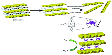 Graphical abstract: A sandwich-type catalytic composite reassembled with a birnessite layer and metalloporphyrin as a water oxidation catalyst