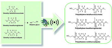 Graphical abstract: Strategies for the synthesis of fluorinated polyesters