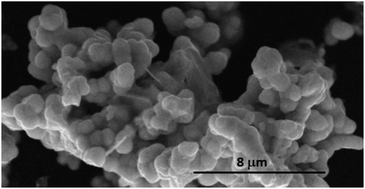 Graphical abstract: Kinetic study on the grain growth of PuO2 nanocrystals