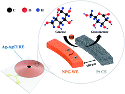 Graphical abstract: Alleviating concentration polarization: a micro three-electrode interdigitated glucose sensor based on nanoporous gold from a mild process
