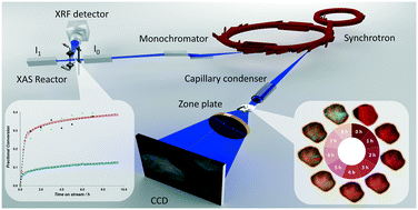 Graphical abstract: Direct observation of the kinetics of gas–solid reactions using in situ kinetic and spectroscopic techniques