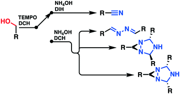 Graphical abstract: A two-step telescoped continuous flow switchable process leading to nitriles, diaziridine or hydrazine derivatives
