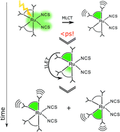 Graphical abstract: Ultrafast interligand electron transfer in cis-[Ru(4,4′-dicarboxylate-2,2′-bipyridine)2(NCS)2]4− and implications for electron injection limitations in dye sensitized solar cells