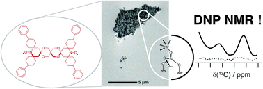 Graphical abstract: Predicting the DNP-SENS efficiency in reactive heterogeneous catalysts from hydrophilicity