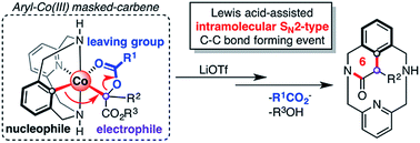 Graphical abstract: Mechanistic insights into the SN2-type reactivity of aryl-Co(iii) masked-carbenes for C–C bond forming transformations