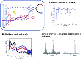 Graphical abstract: Insights into the mechanism and aging of a noble-metal free H2-evolving dye-sensitized photocathode