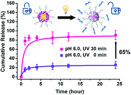 Graphical abstract: Highly efficient gene release in spatiotemporal precision approached by light and pH dual responsive copolymers
