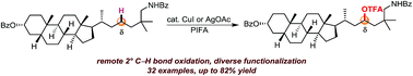 Graphical abstract: Diverse secondary C(sp3)–H bond functionalization via site-selective trifluoroacetoxylation of aliphatic amines
