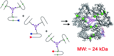 Graphical abstract: Total chemical synthesis and biophysical properties of a designed soluble 24 kDa amyloid analogue