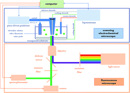 Graphical abstract: Combined scanning electrochemical and fluorescence microscopies using a tetrazine as a single redox and luminescent (electrofluorochromic) probe