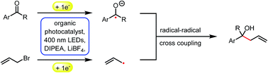Graphical abstract: Photocatalytic Barbier reaction – visible-light induced allylation and benzylation of aldehydes and ketones