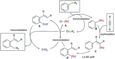 Graphical abstract: Addition of arylstannanes to alkynes giving ortho-alkenylarylstannanes catalysed cooperatively by a rhodium complex and zinc chloride