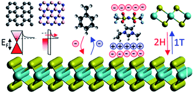Graphical abstract: Charge carrier injection and transport engineering in two-dimensional transition metal dichalcogenides