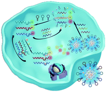 Graphical abstract: Multiplex microRNA imaging in living cells using DNA-capped-Au assembled hydrogels