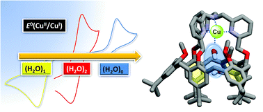 Graphical abstract: Gating the electron transfer at a monocopper centre through the supramolecular coordination of water molecules within a protein chamber mimic