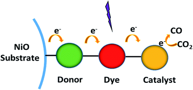 Graphical abstract: A donor-chromophore-catalyst assembly for solar CO2 reduction