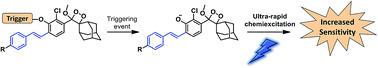 Graphical abstract: Rapid chemiexcitation of phenoxy-dioxetane luminophores yields ultrasensitive chemiluminescence assays